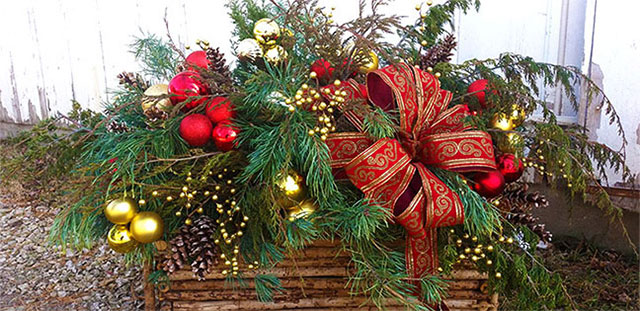 Deck the halls with a one-of-a-kind greenery basket or juniper centerpiece!