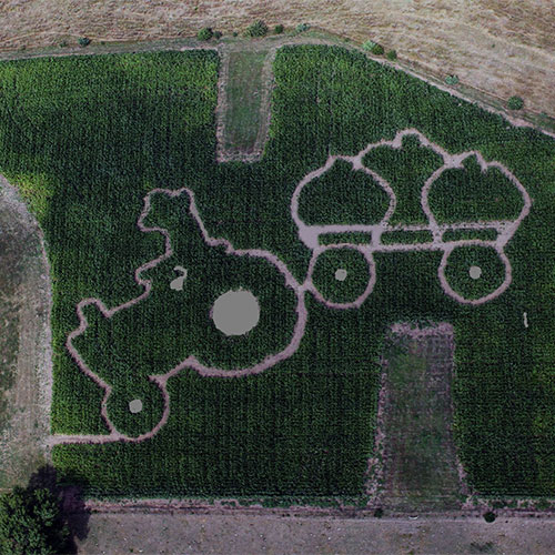 Explore our giant corn maze and other fall fun on the farm!
